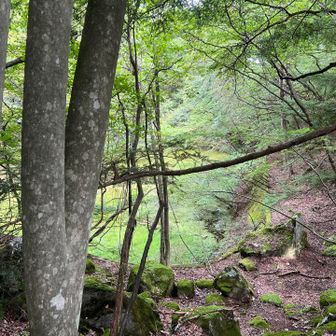 下山中ふと見ると池が目に止まりしばらく休憩