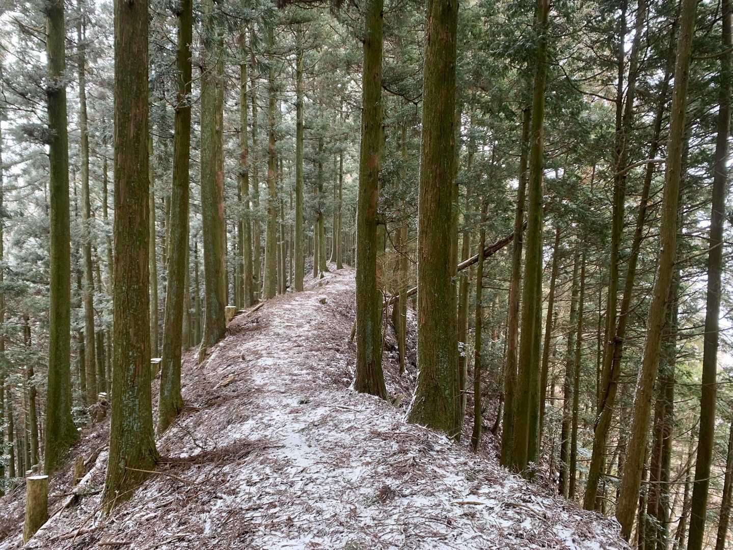 平坦な道は嬉しい☺️
