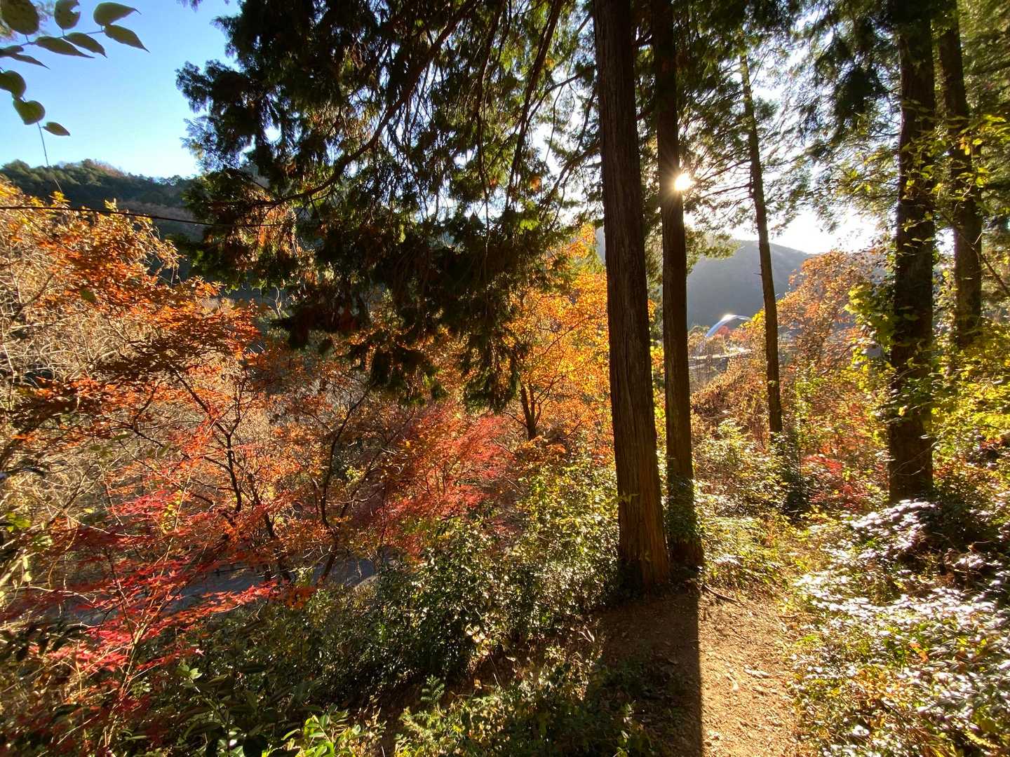 紅葉バンザイ🍁🙌
