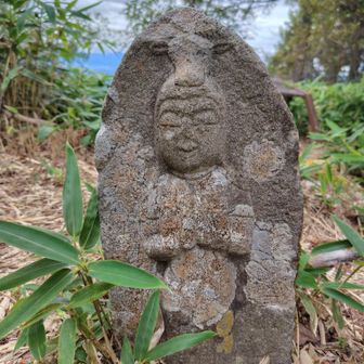 これほんとにかわいいお顔