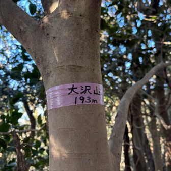 辛うじて見つけた