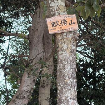 山頂