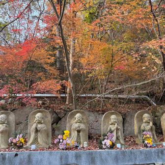 この辺りは特に紅葉が綺麗でした🍁