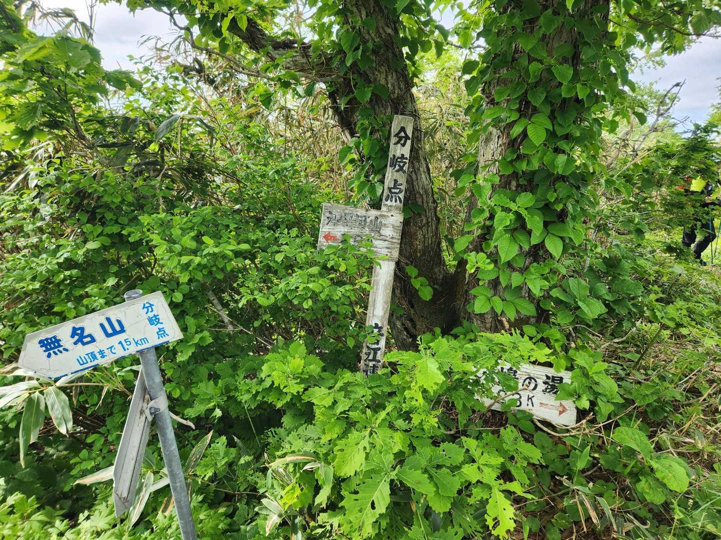 分岐点到着。
音江山登山口側から登って来られたご夫婦とお会いしたら何と！
himajinさん&自由人さんお知り合いのヤマッパーさんでした。
流石有名人のお二方です😆