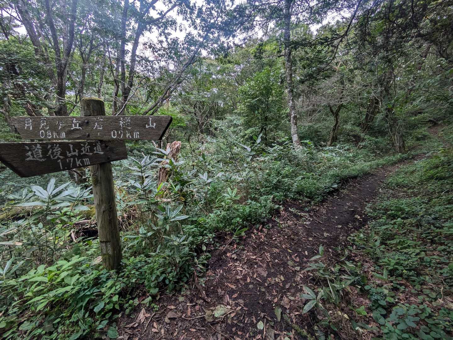 岩樋山へ
