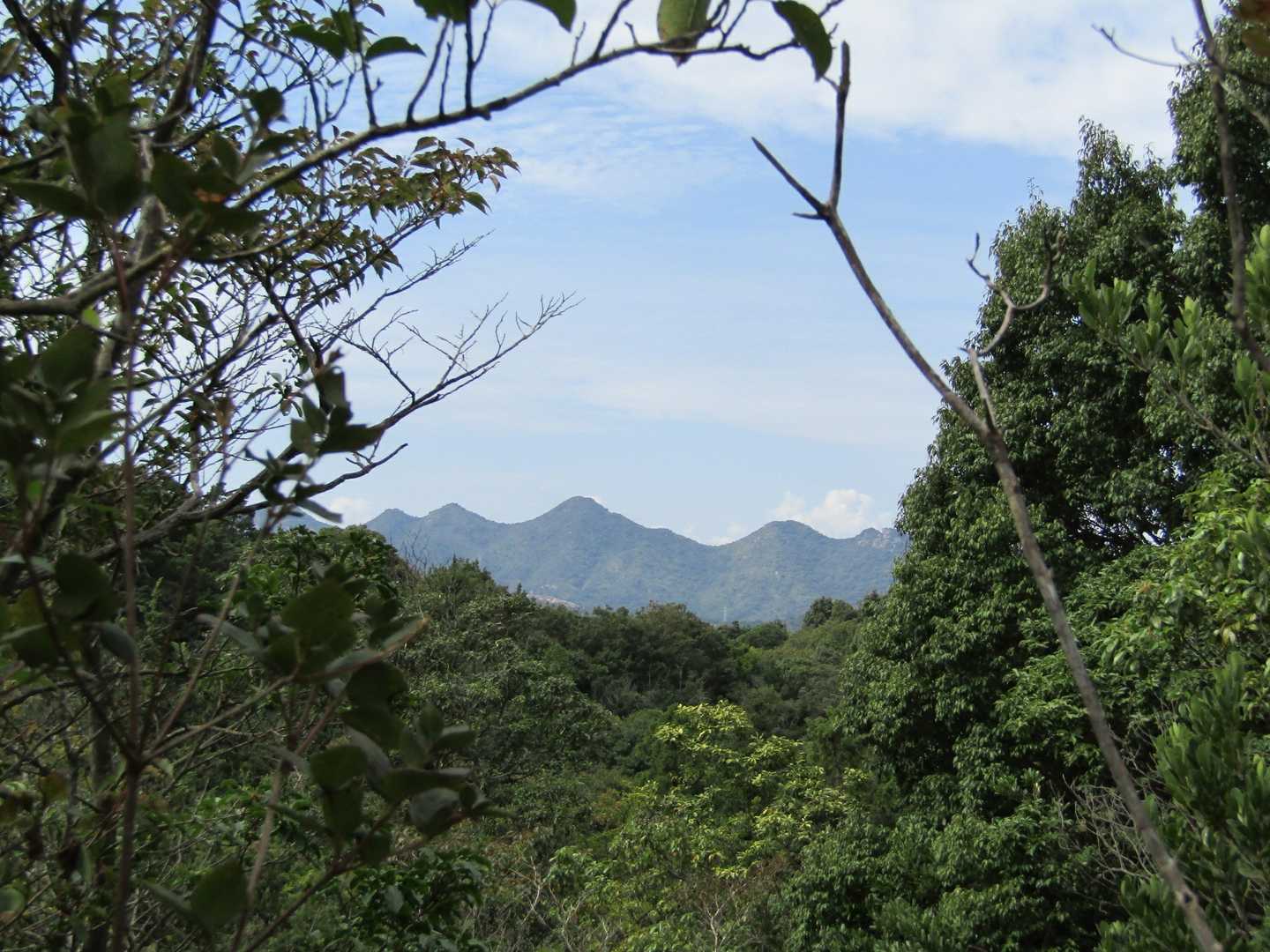 明瞭な樹林帯の道からの初めての景色が火の山連山！
