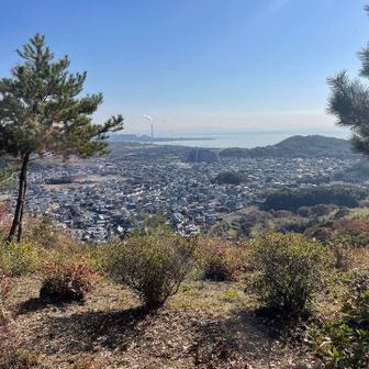 今日一の眺望かな