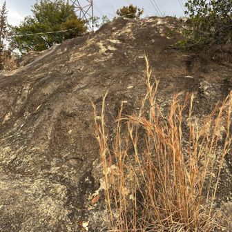 今日イチの急な登りの岩