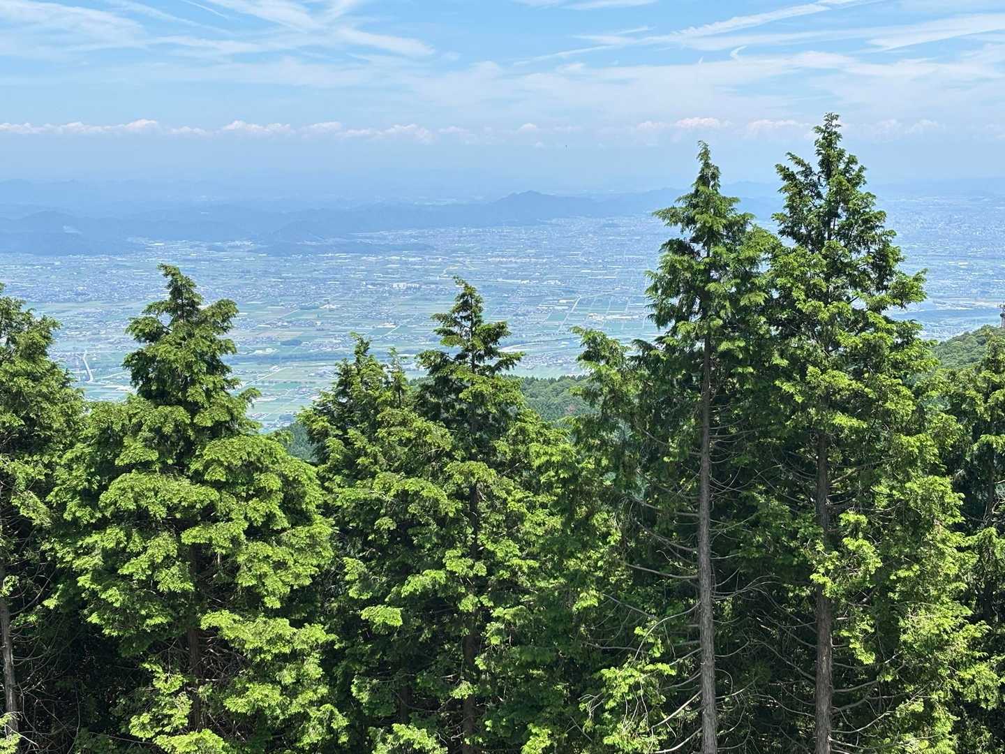 教養の森入口-池田山 往復コースの写真