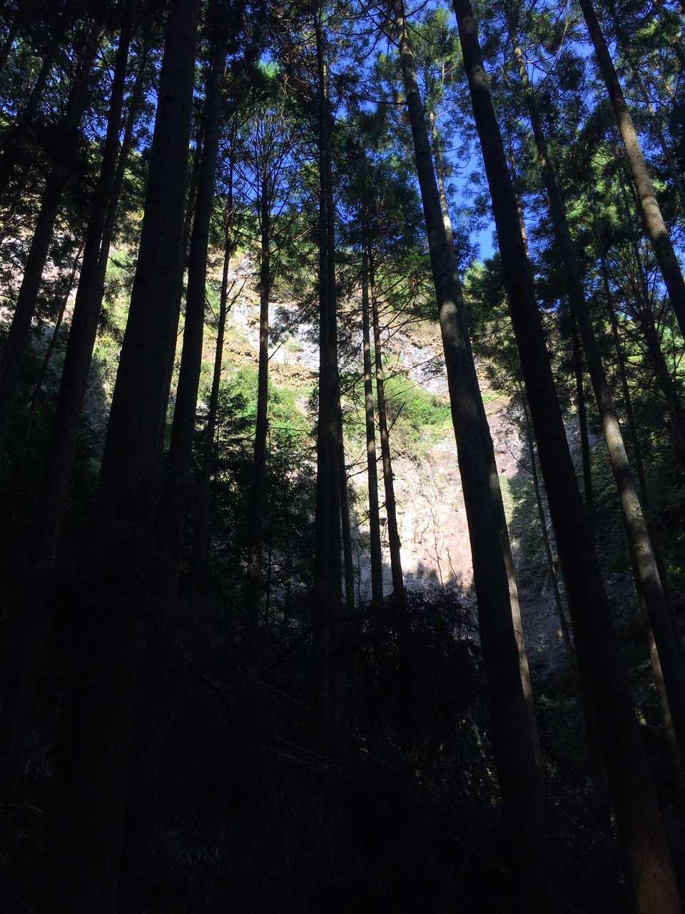 すぐ横は崖‼️