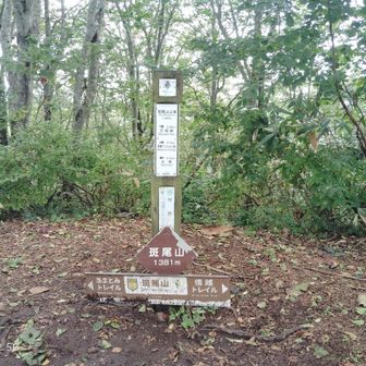 あまとみトレイルをやっている方いました
