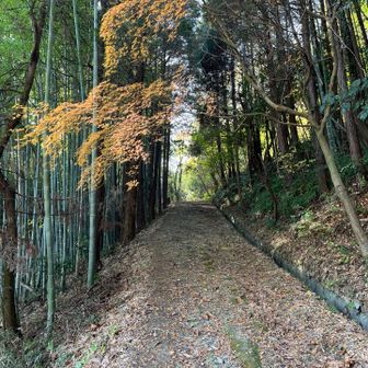 檀特山へ向かう
