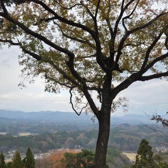 竹田の殿様になった気分です
まるでジオラマの世界
素敵な展望でした