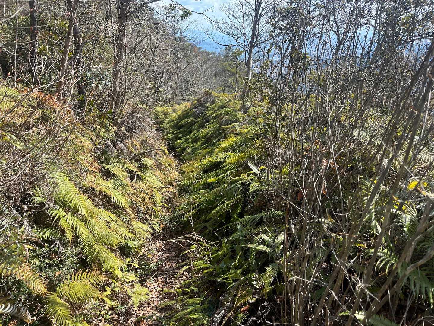 さて下山です
