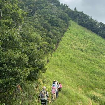 急登が始まる