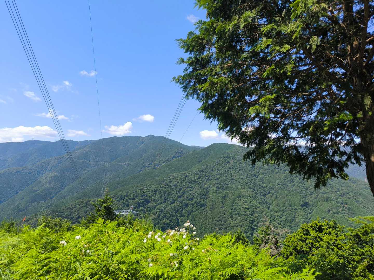 絶景ポイントに戻って来ました