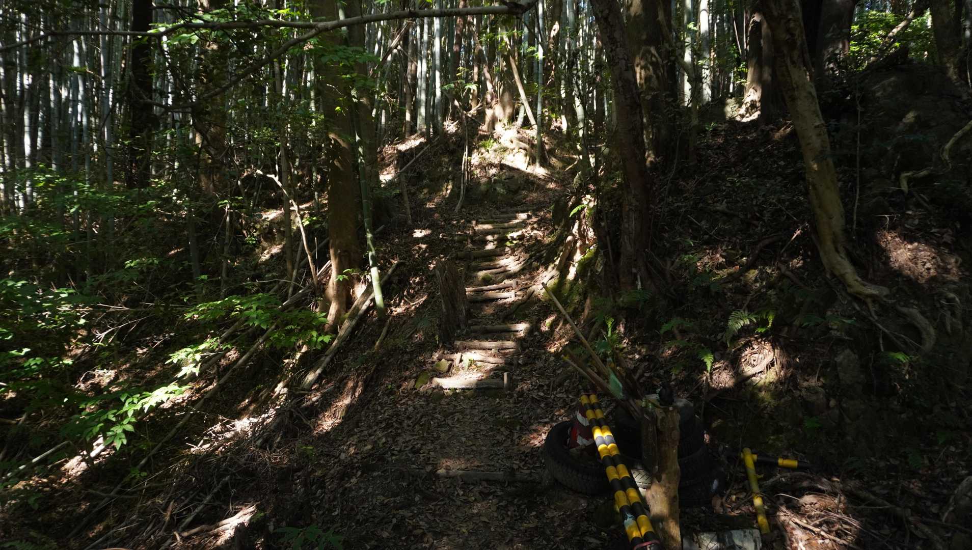 ここから登山道