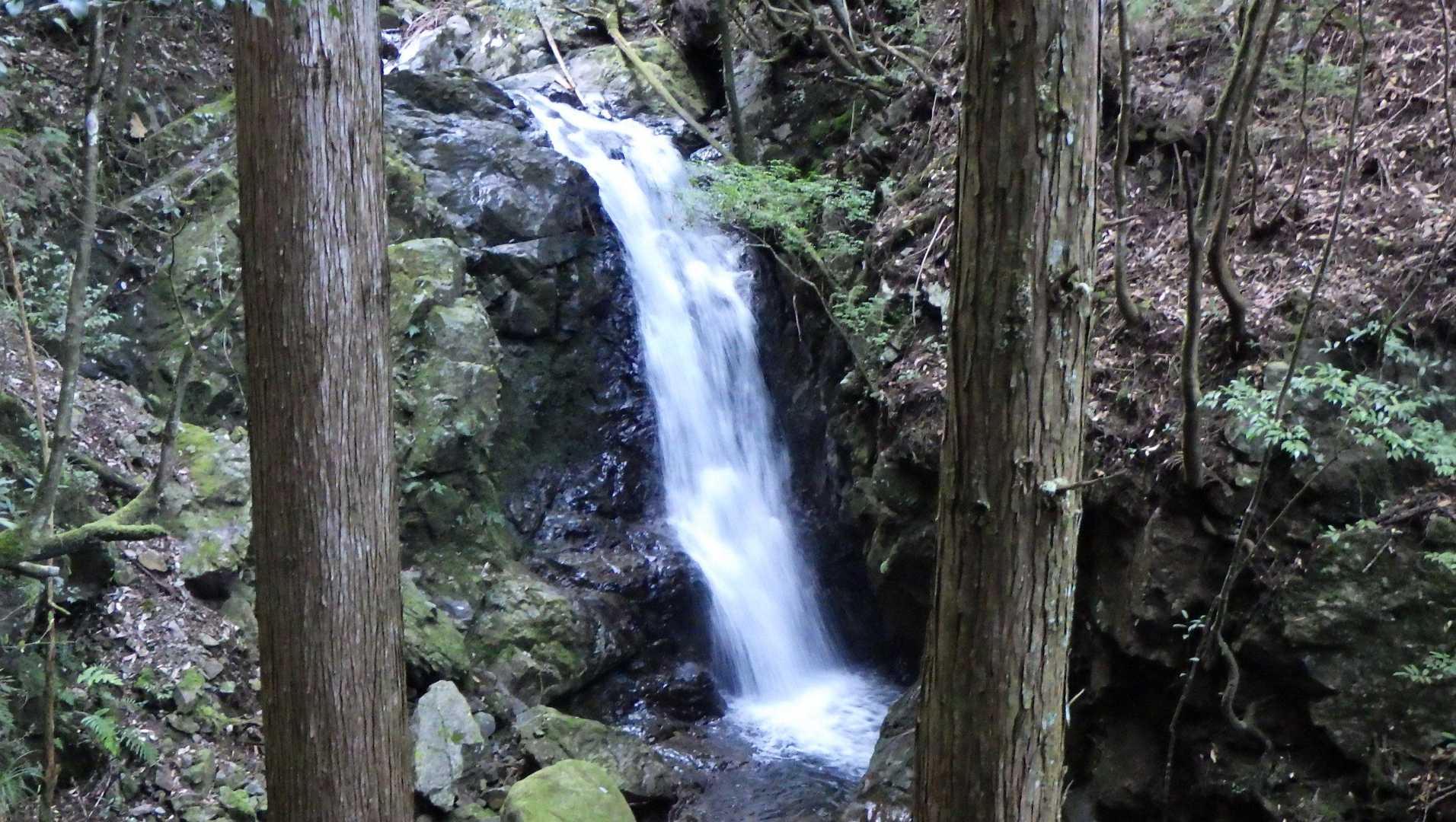 彦坊山 往復コースの写真