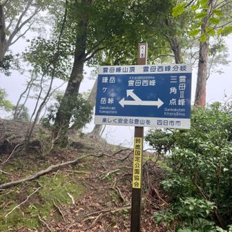 展望はありません。