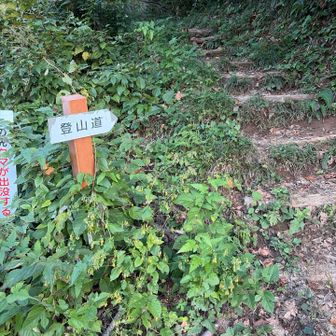 登山道からしばらくは急登が続きました