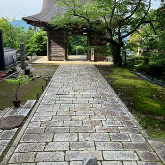 松尾寺到着。YAMAP操作ミスで最初のほうのログ無し…😅5:01登山開始したから2時間46分のサクッとハイクでした。おつかれ山でしたー⛰️