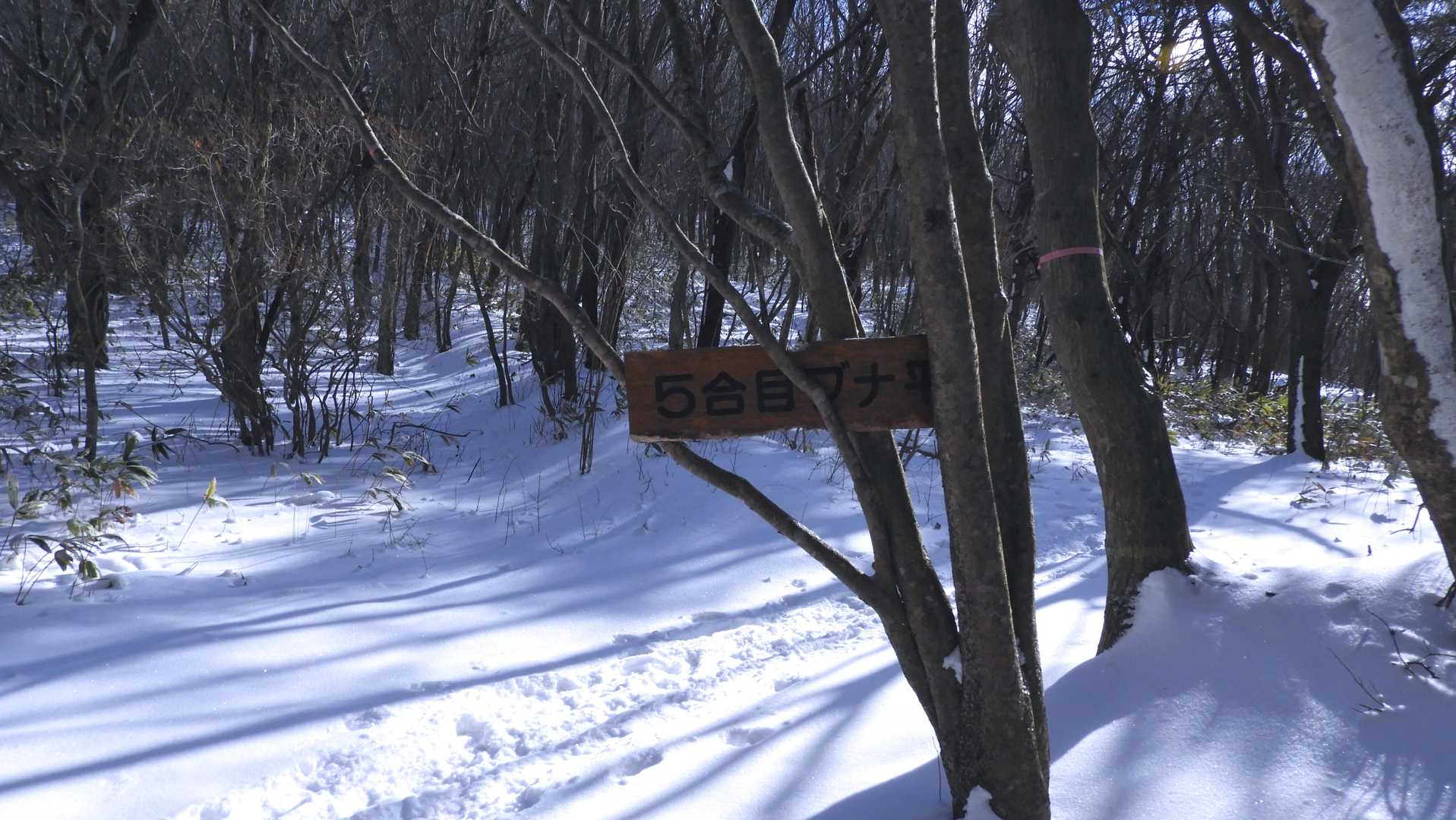 ブナ平を通過。積雪は５～１０ｃｍ程度。
