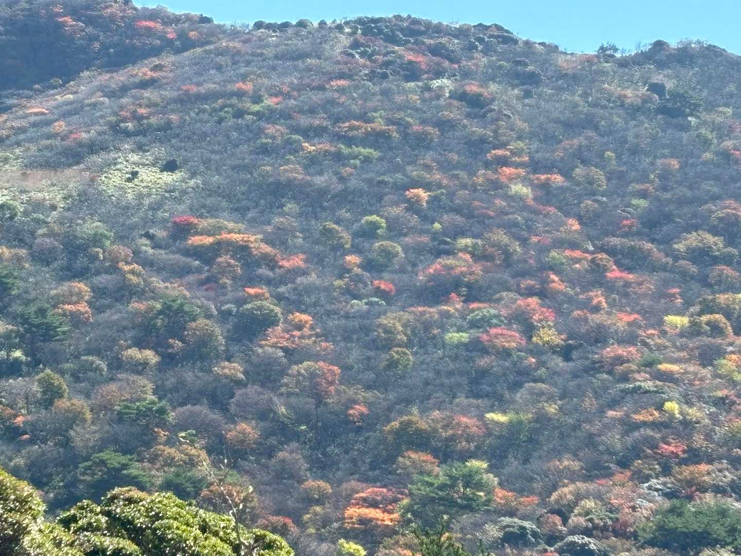 泉水山-上泉水山-黒岩山-牧ノ戸峠 周回コースの写真