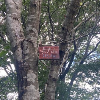 妻戸山の由来は多分下にある妻戸神社から取ったのでは、と思った。