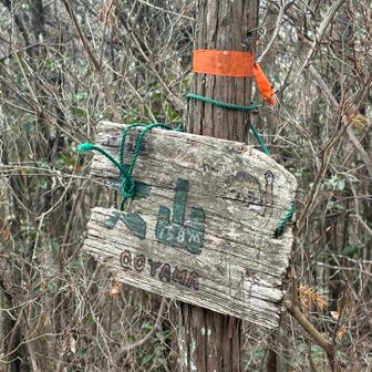 危うく見逃すとこやった😣