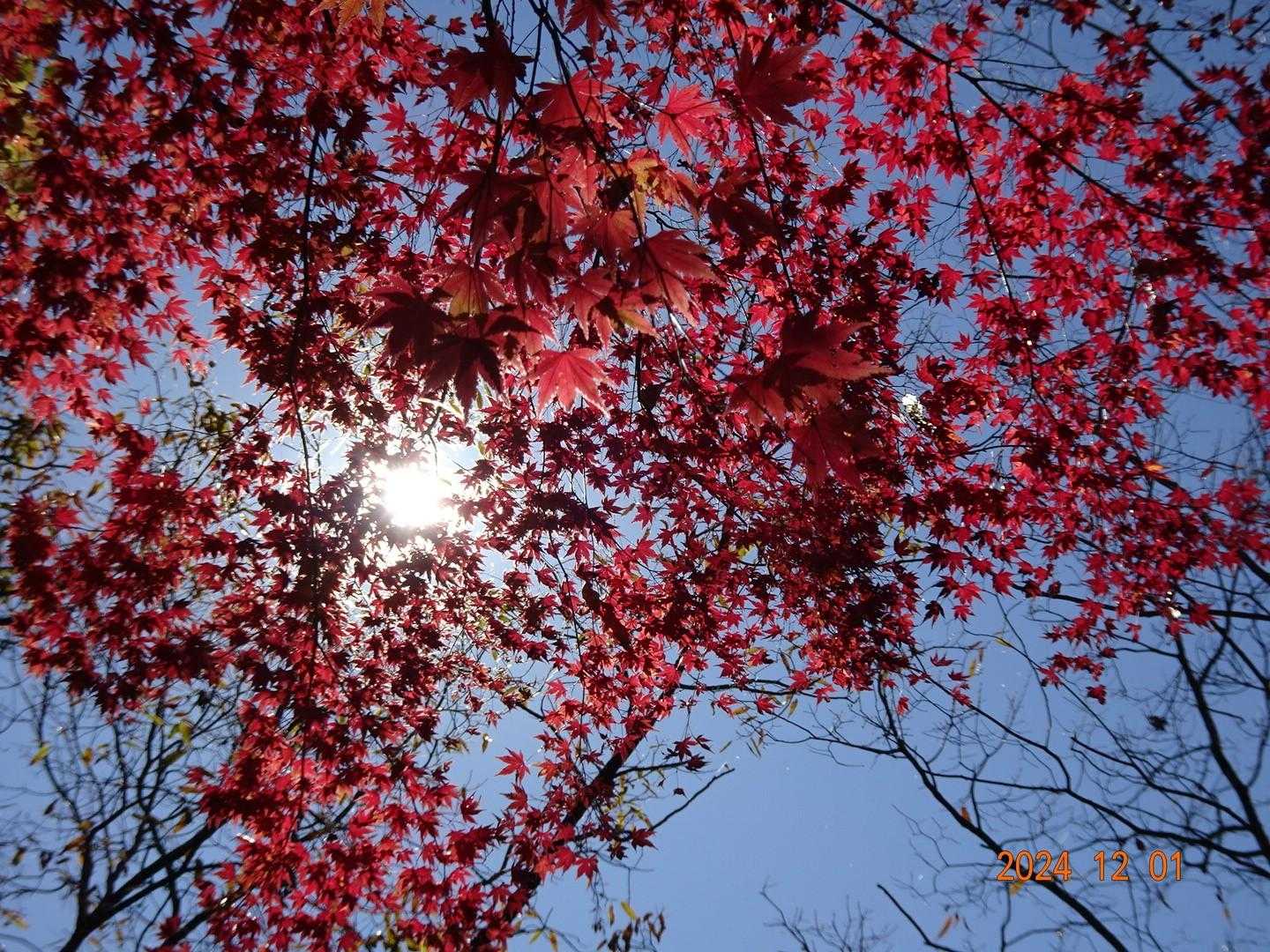 うわぁ～(о´∀`о)