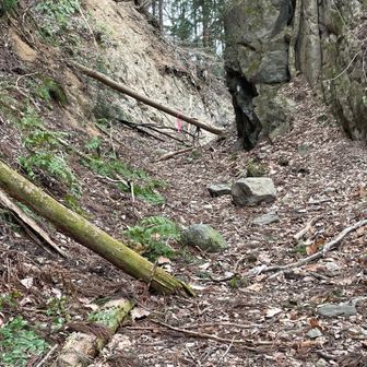 峠手前で立派なしっぽのキツネ🦊が前を走っていきました