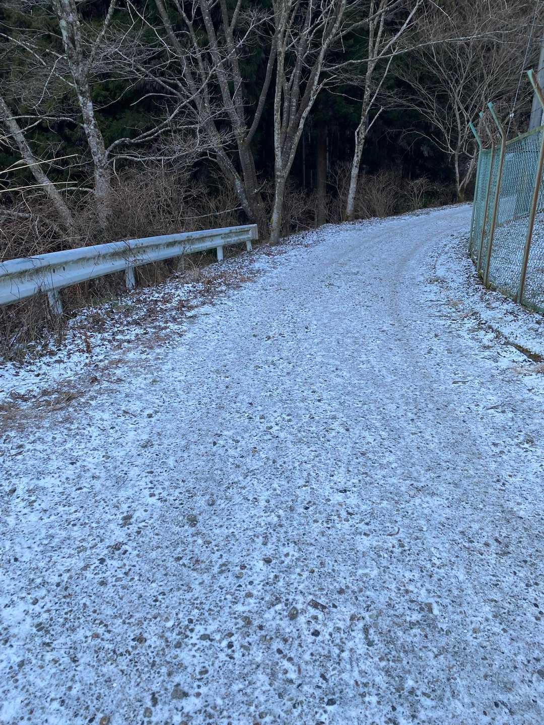 ツツジオ谷登山口までの舗装路は薄ら雪❄️
でも、しばらくは雪山装備無しで歩けます