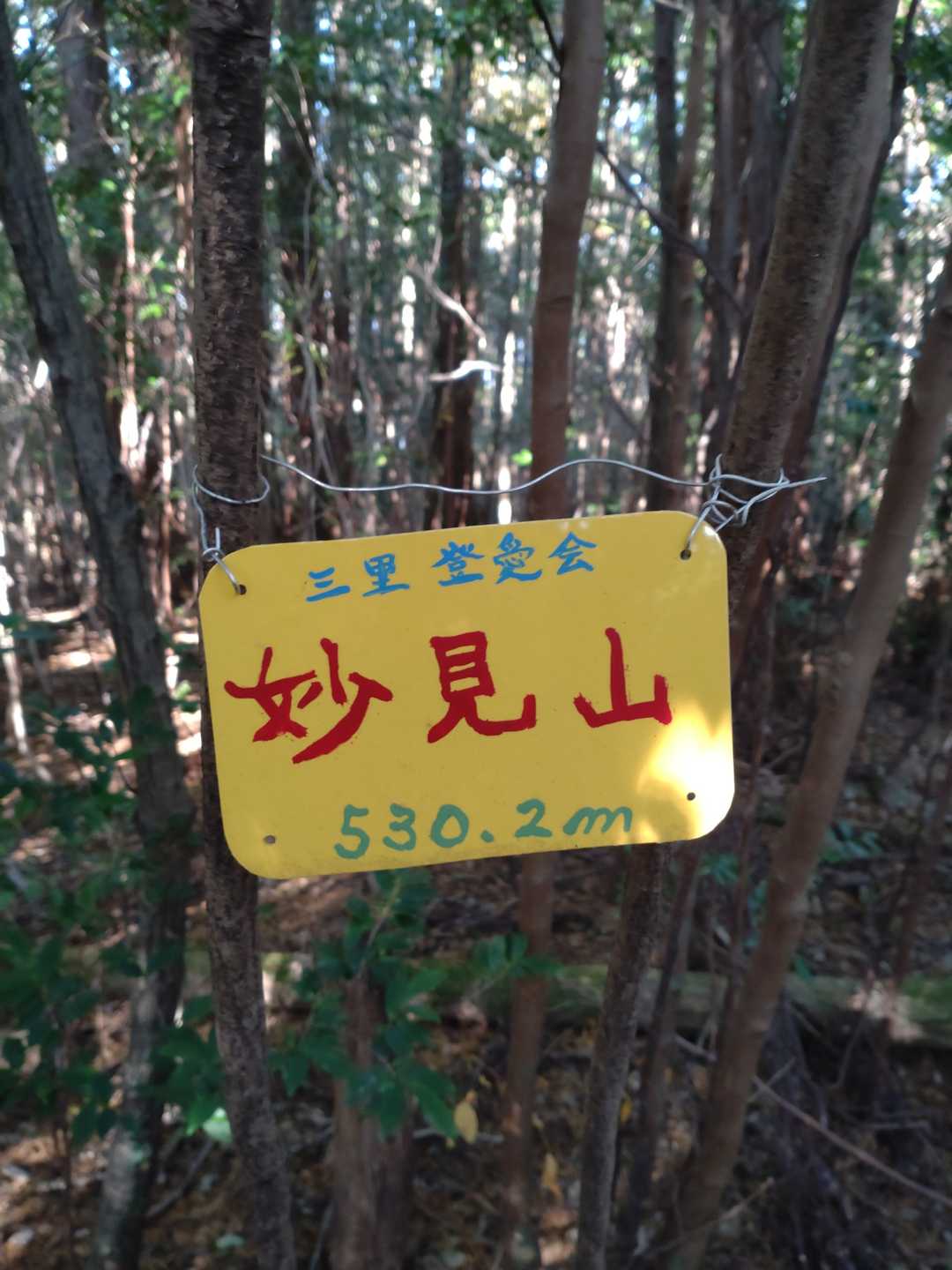 妙見山（高知県高岡郡佐川町）の写真
