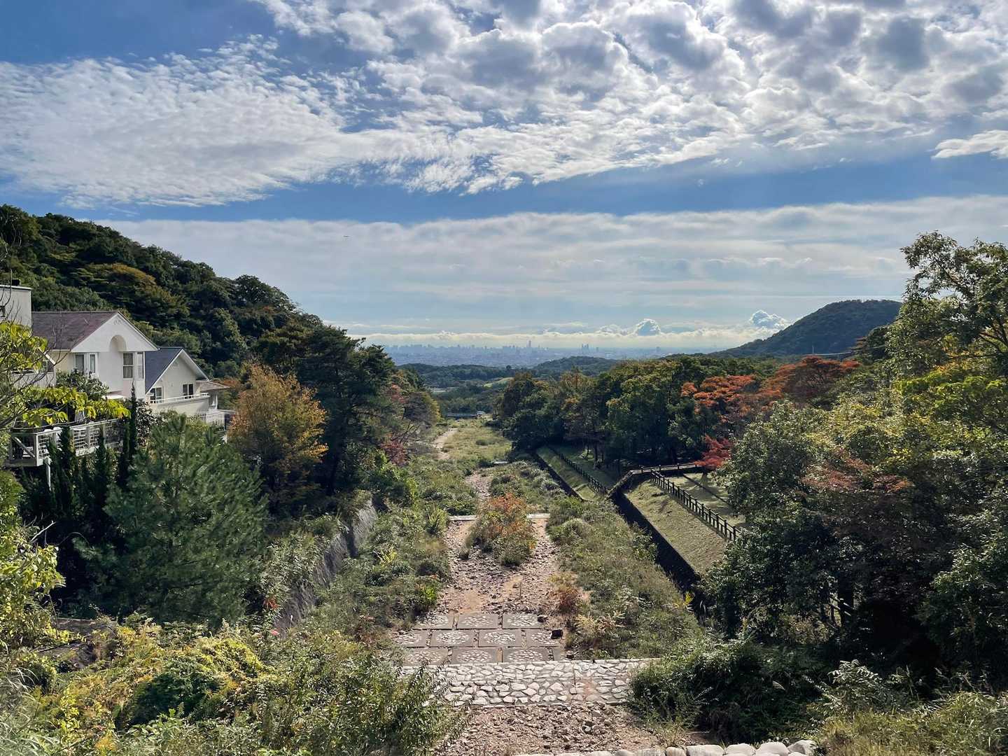 樫ヶ峰-社家郷山-行者山-行者山ハイキングコース西逆瀬台口 縦走コースの写真
