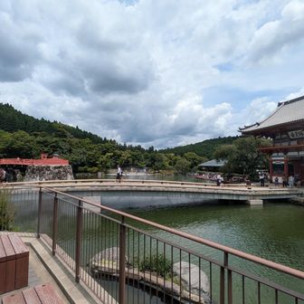 公園のようですね。