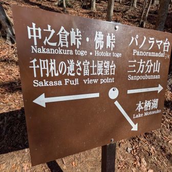 おつぎはパノラマ台