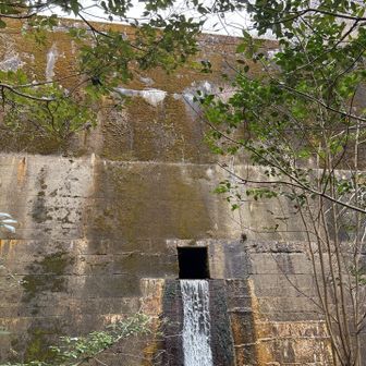 六甲山・長峰山・摩耶山 紅葉谷堰堤
⬅️を高巻き