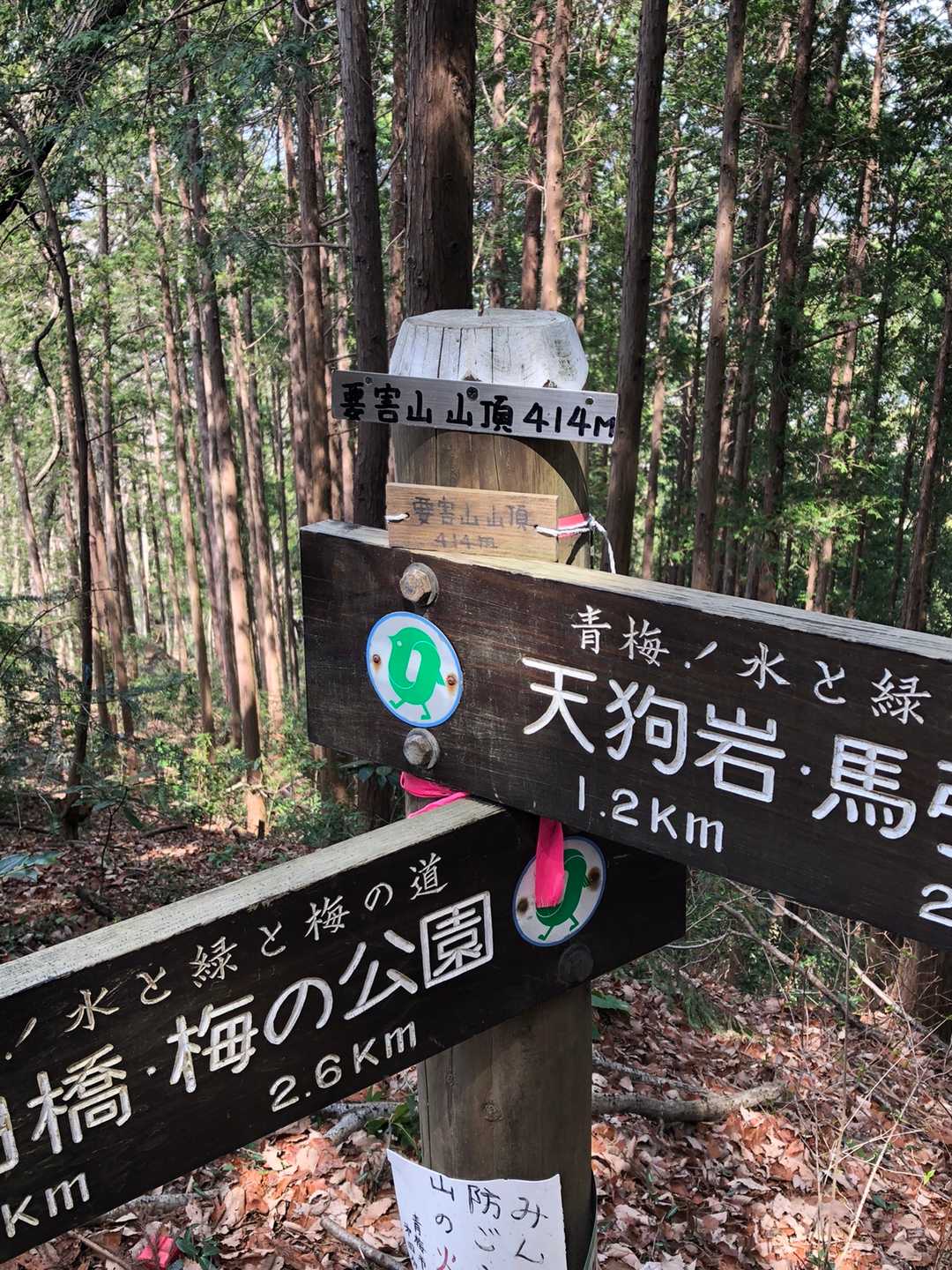 通過点みたいな山頂。要害山。