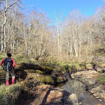 左門岳 と思ったら２分で何かを発見したようです。