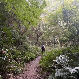 「れきしるこまき」からは、東自然遊歩道を歩いて一旦北側に
けっこうな道じゃん