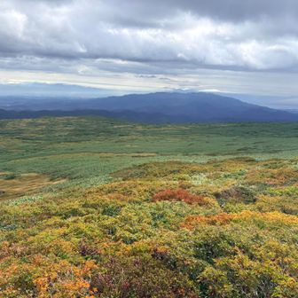 草紅葉始まってる！綺麗〜