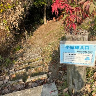 海岸まで300m、行ってみよう。