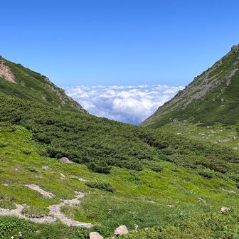 🚌から見えてた雲海☁️