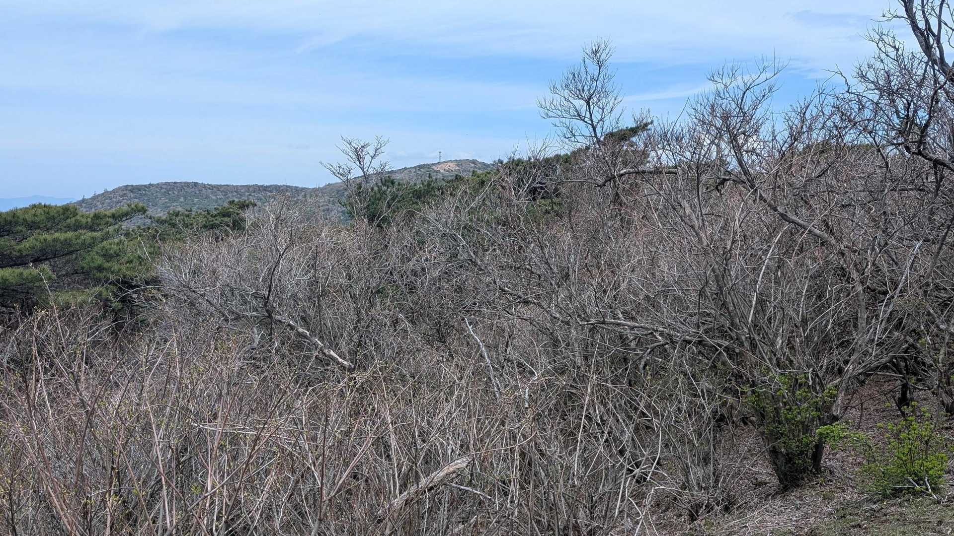 えびの岳から奥に白鳥山を望む　三角点撮り忘れました😅