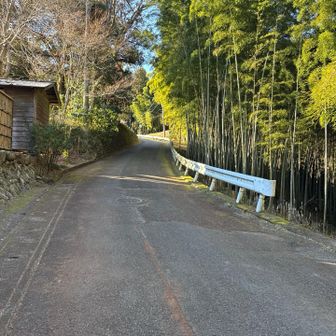 登山道入る前ですが、雪無いですね