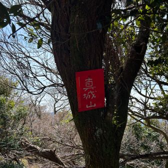 藪漕ぎの末に真城山に到着