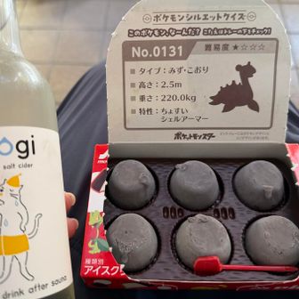 ラプラス！
山行途中でアイスとサイダーを摂取できる幸せ(　＾ω＾)