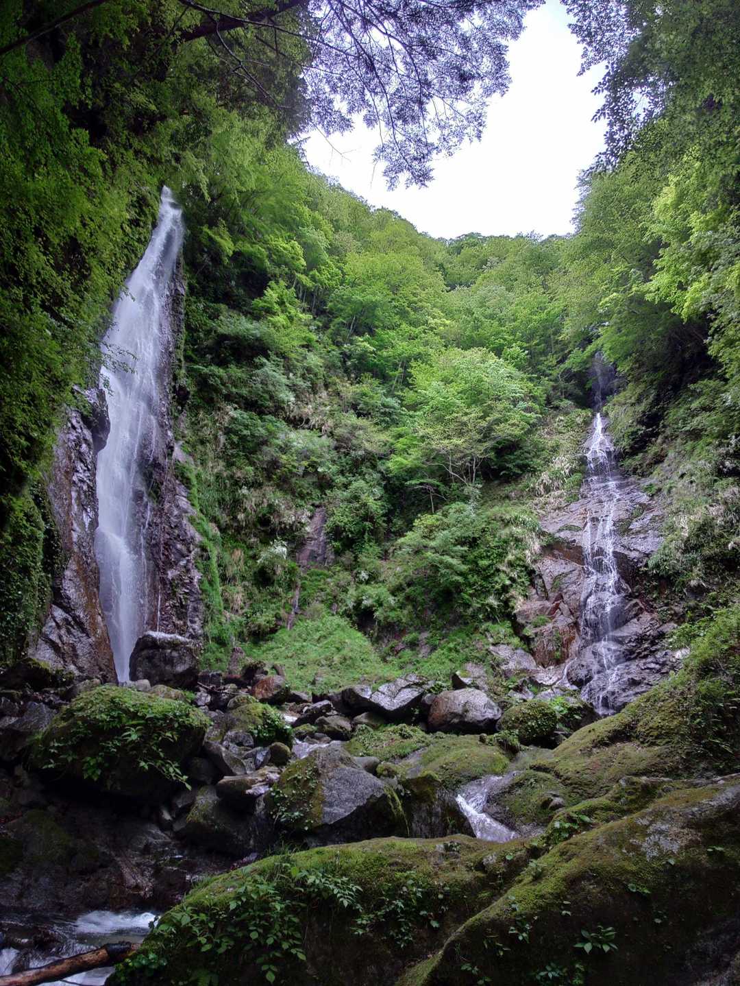 左が本棚の滝、右は涸棚の滝。雄大で迫力があります。ここを見れただけでもいいです～👍
