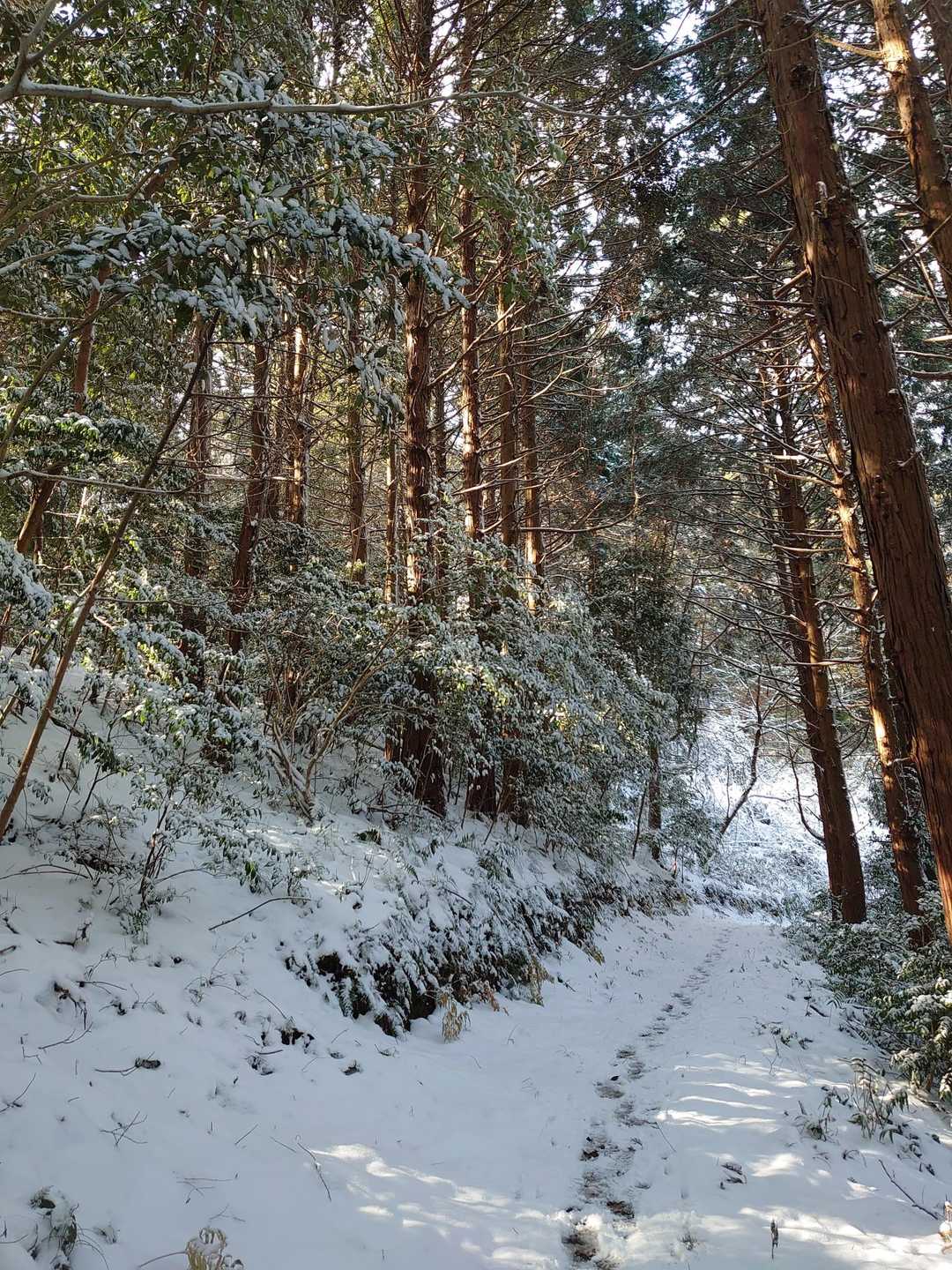青空が、出ました。