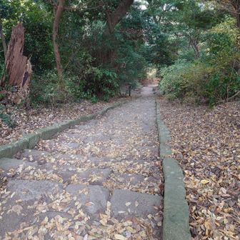 後は下山するのみ。参道は急。